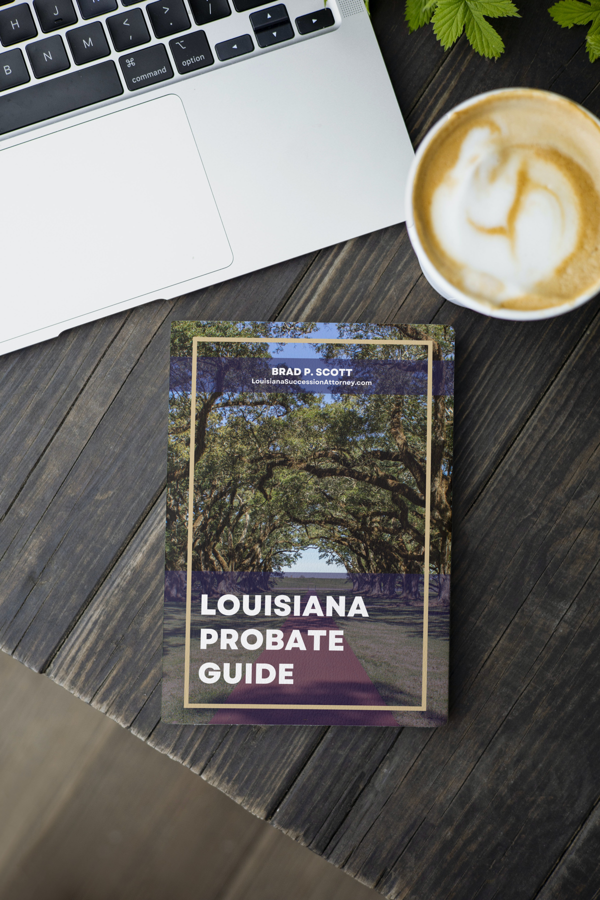 Louisiana Probate BOOK